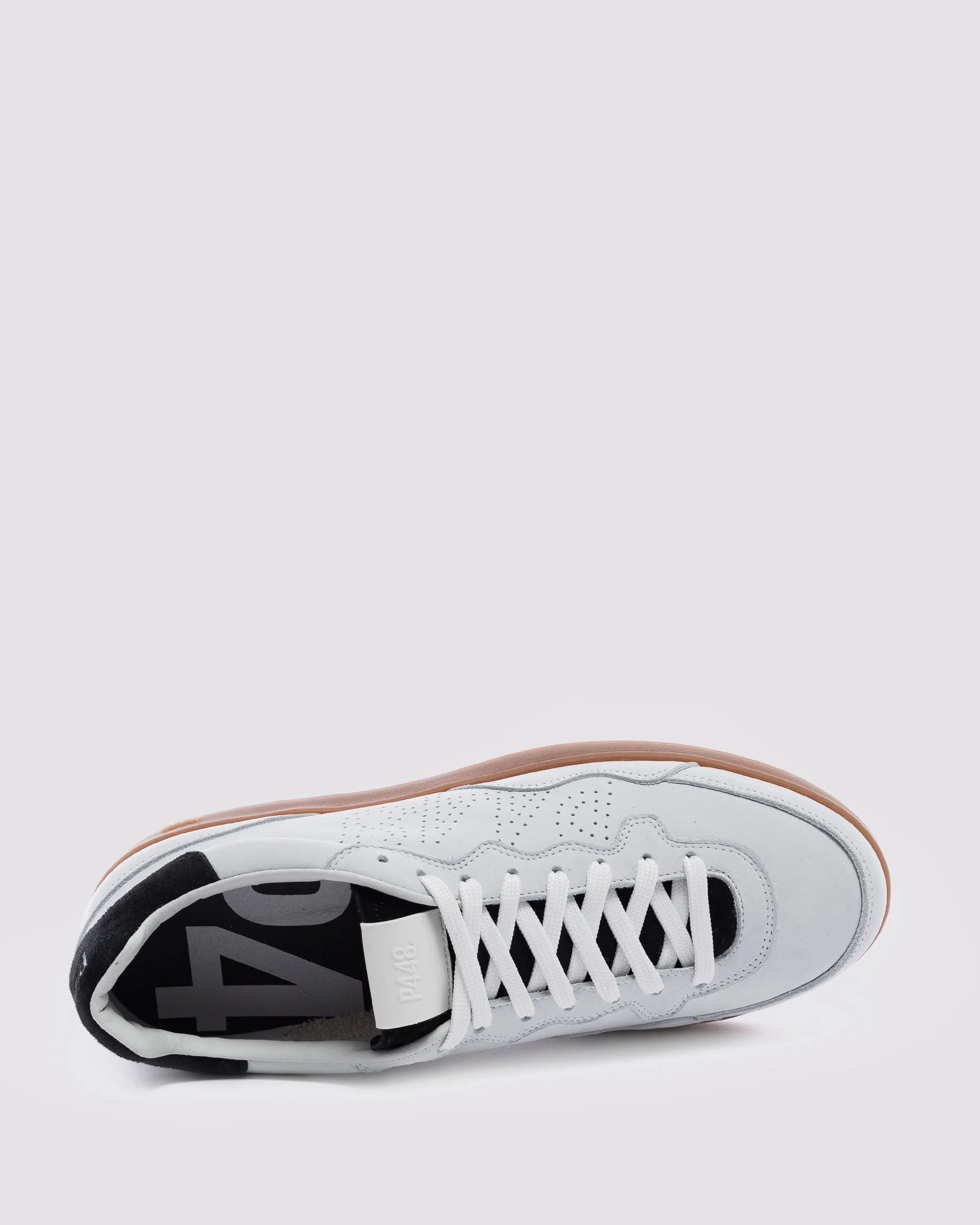 Women P448 Low Tops|Low Tops>Vert /Nero